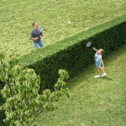 Bosch 18V Heggenschaar AHS 50-20 Li 50cm -Gardena Verkoop 123 2404