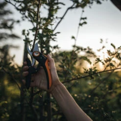 Fiskars Snoeischaar P721 -Gardena Verkoop 123 4025