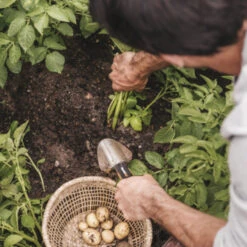 Fiskars Plantenschep -Gardena Verkoop 123 4166