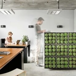 Muurhanger Verticaal Tuinieren -Gardena Verkoop 123 735